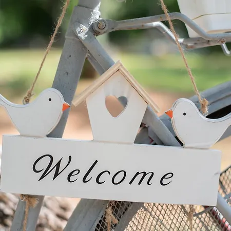 Eden In Peaceful Area Near Center Poreč