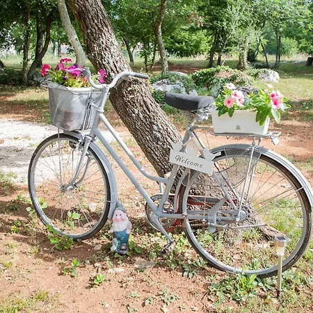 Eden In Peaceful Area Near Center